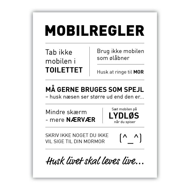 Mobilregler